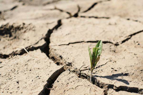 Drought is causing big problems in the metropolitan area of a famous city